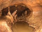 2016-05-26 Schönsteinhöhle C9 (Wiesenttal, Fränkische Alb, Bayern)