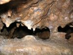 2012-09-02 Kranichberghöhle 2871/11 (Kirchberg/Wechsel, NÖ)