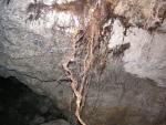 2010-07-03_175620.jpg