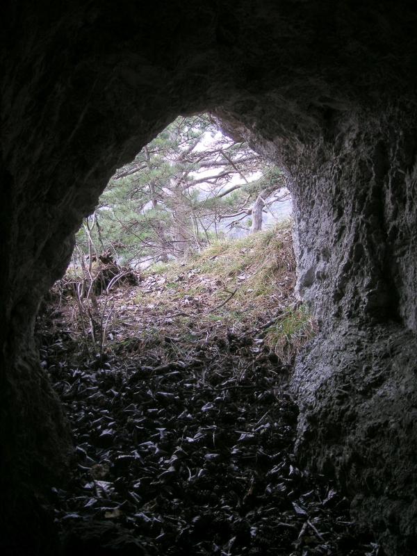 2011-03-06_112946a.jpg