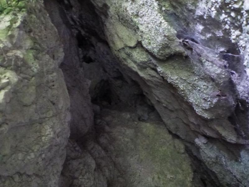 2011-10-14_155212.jpg