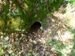 2011-10-15_121526.jpg