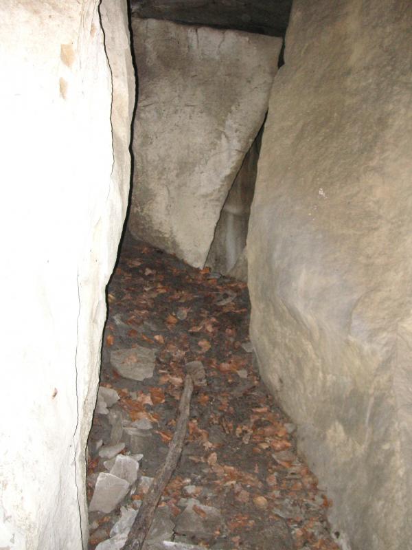 2011-11-11_173452.jpg