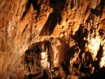 2006-08-01 Grotta Gigante (Triest, Italien)
