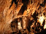 2006-08-01 Grotta Gigante (Triest, Italien)
